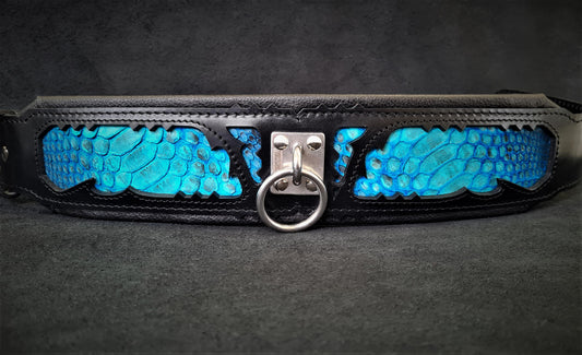 The ''Morelia Python'' collar-1