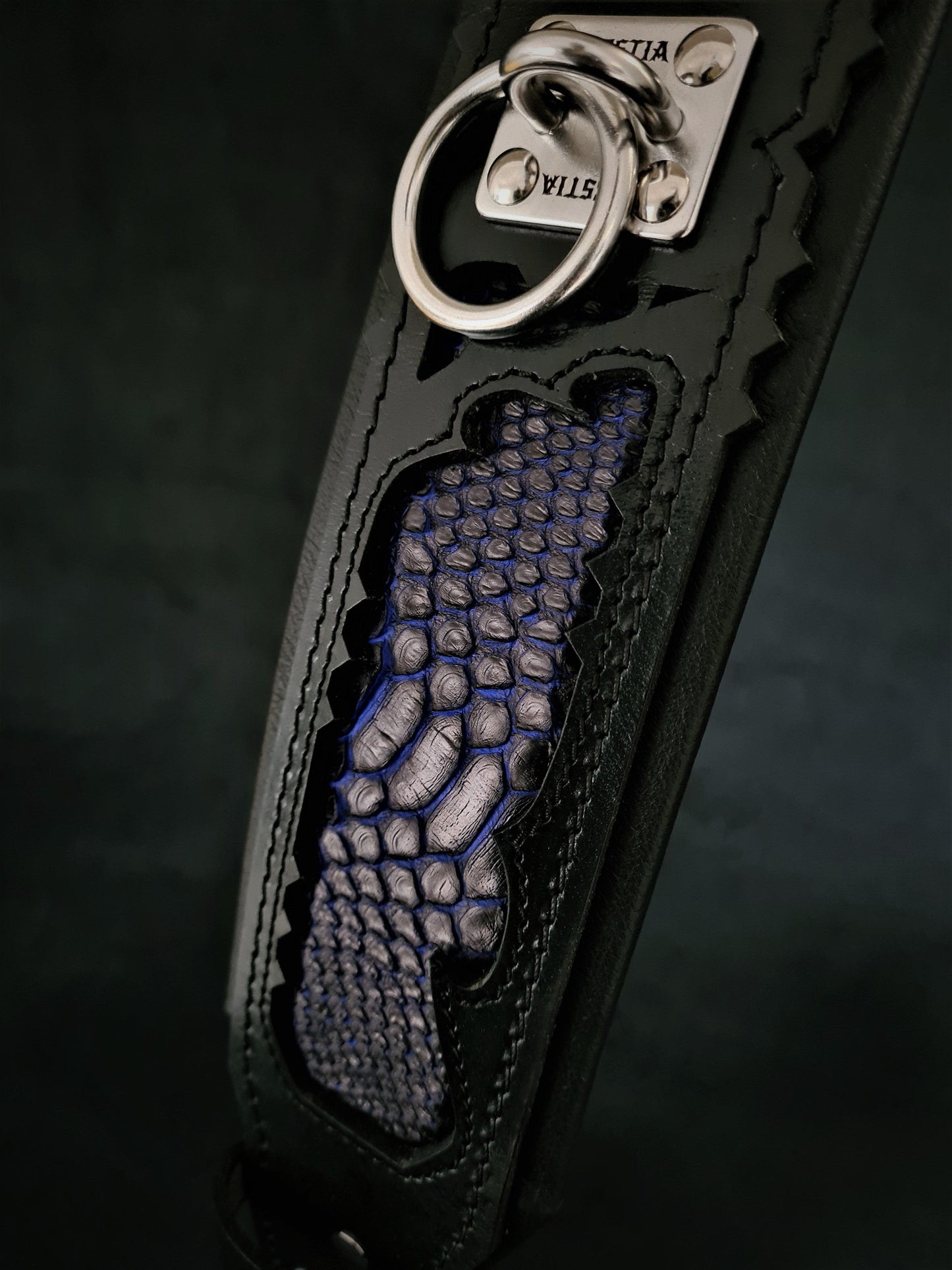 The ''Indigo'' collar-4
