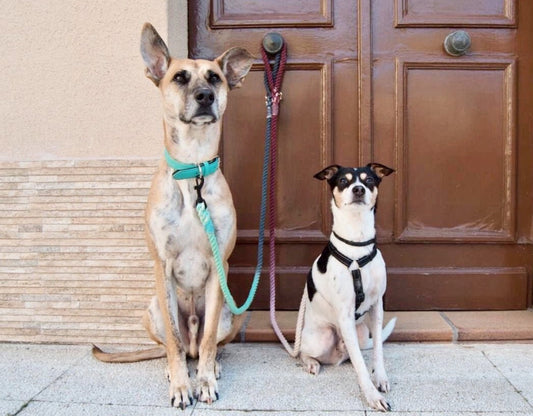 ROPE LEASH - OMBRE LIGHT BROWN-1