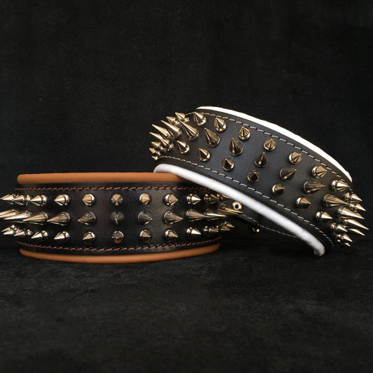 "Danger" collar-1