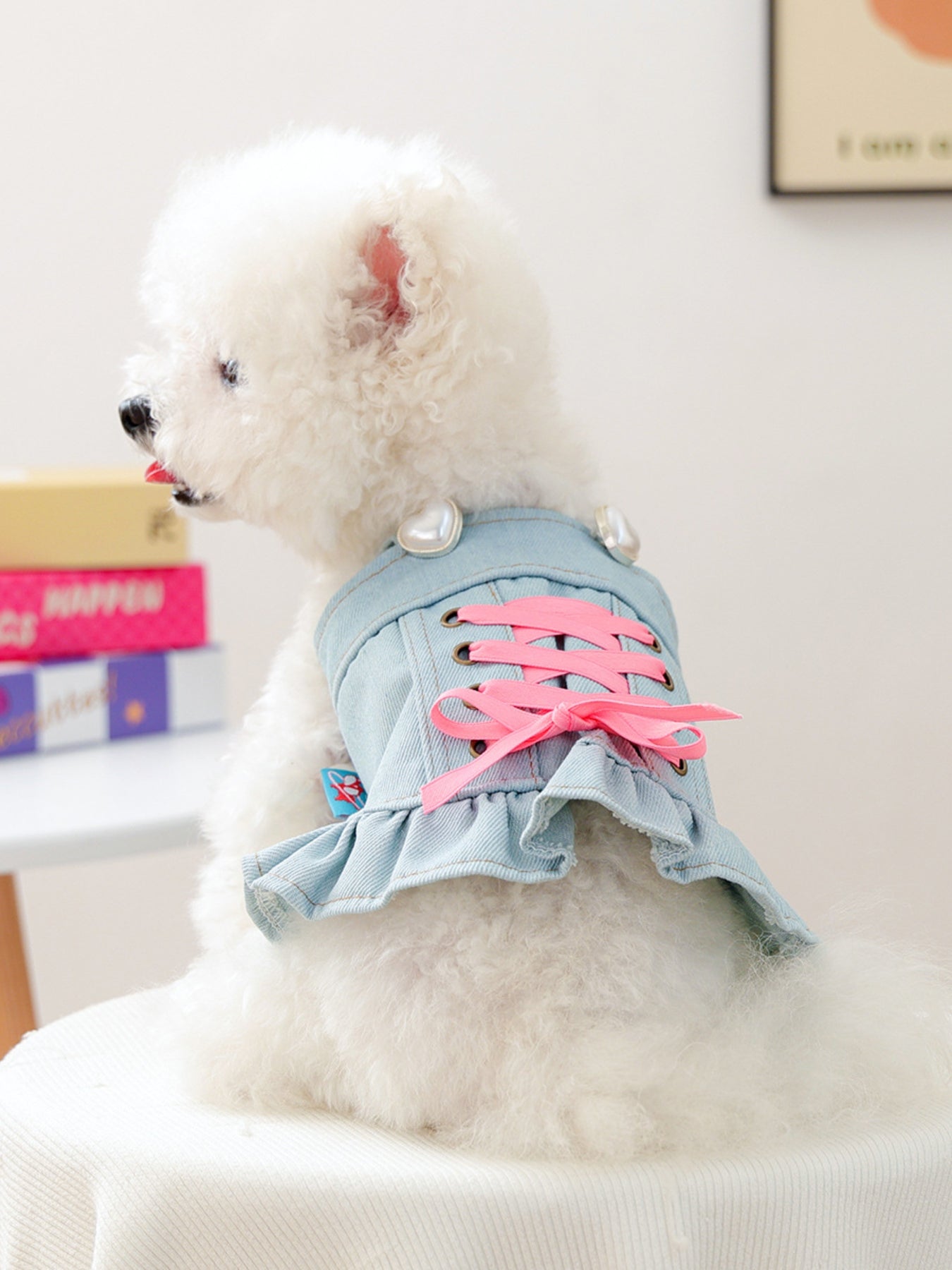 dog dress lace Parisian Pet Gingham Countryside Lace Dog Dress - Blue