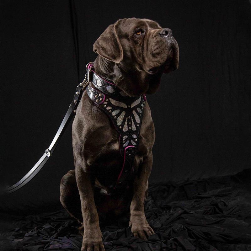The "Ariel" collar-3