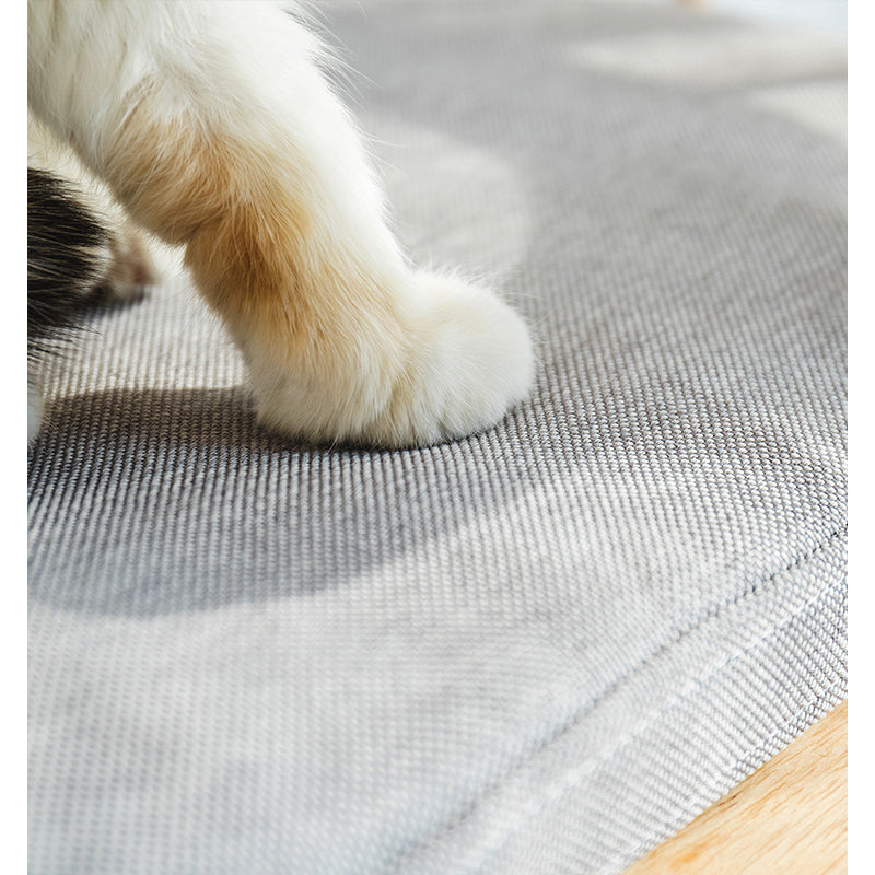 Cat paw on a textured gray mat