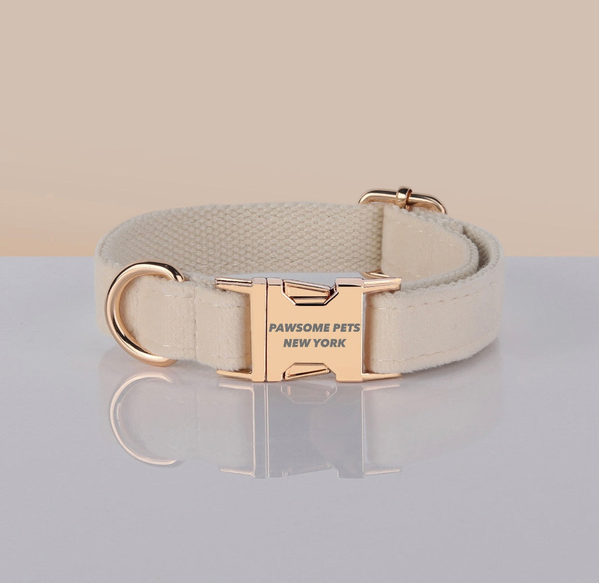 PAWSOME DOG COLLAR - #24-0