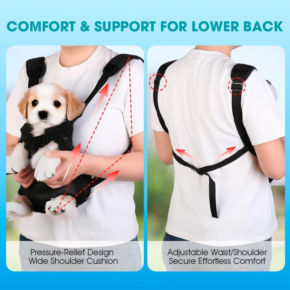 Dog Carrier Backpack Small Dog Carrier Pet Carrier Hands-Free Dog Carrier - Black / L