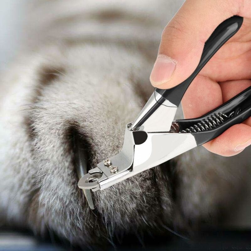 Pet Nail Clippers & Trimmers Cat Dog Nail Clippers Pet Grooming Tool Dedicated Pet Nail Scissors For Grooming Cats