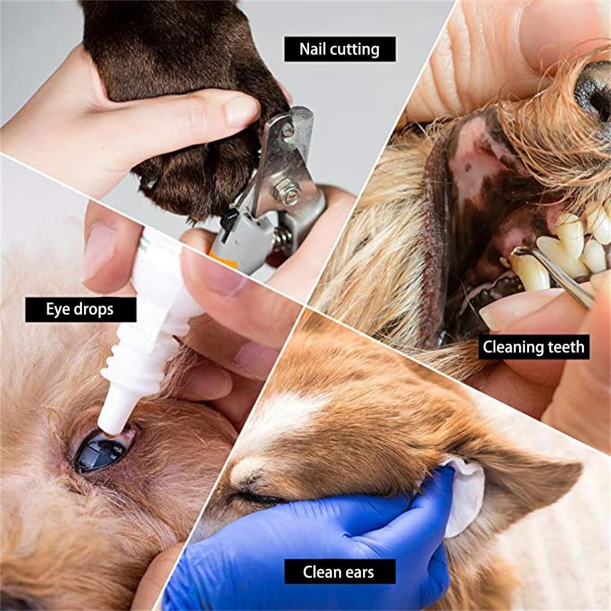Cat, Dog Hanging Bag - 11-Piece Pet Grooming Hammock - For Easy Nail Trimming - Size S - Pet Hammock - Pet Grooming - Pet Care Hammock - Pet Nail Trimming Harness - 57x44.5 Cm - Blue