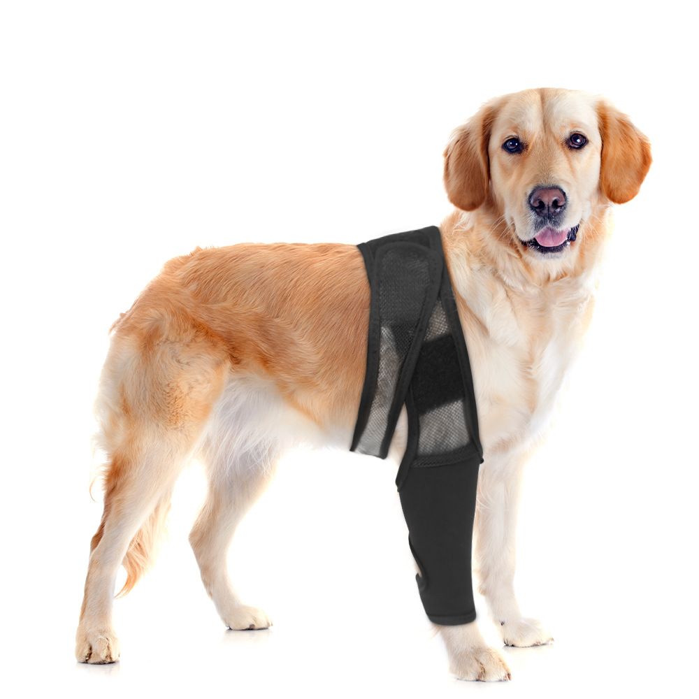 Dog Injured Leg Cover Pet Injury Leg Dog Leg Leg Sleeves Paw Dogs Lick Safe Puppy Knee Dog Bandages for Wounds Knee Pads M