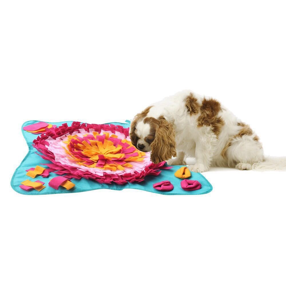 Allocate toys that are chewy and soft to chew, anti choking for dogs, sniffing pads for dogs, slow food training for cats