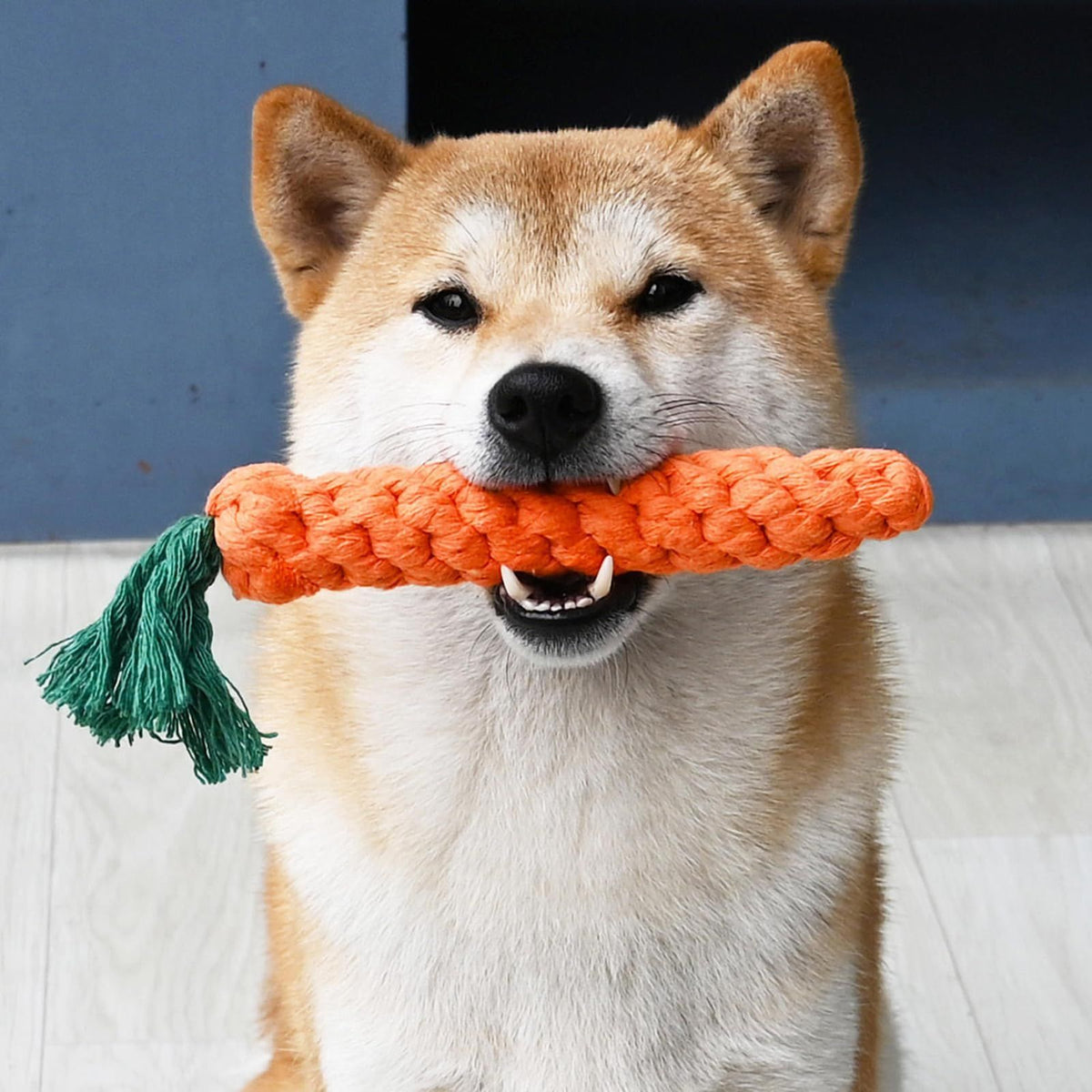 Dog Teeth Cleaning Toy Cotton Rope Carrot Shaped Pet Chewing Anti Bite Grinding Carrot Set Teeth Cleaning Anti Bite