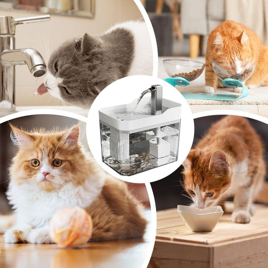Cat Water Fountain 1500ml Large Capacity Silent Circulating Smart Automatic Dispenser Easy Clean 360° Drinking for Cats Small Dogs Pets Home