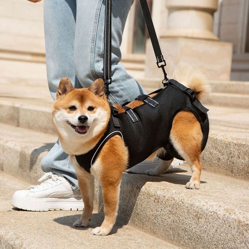 Breathable Pet Support Harness Lift Slings For Senior Dog Mobility Support Slings for Dog Surgical Joint Leg Recovery