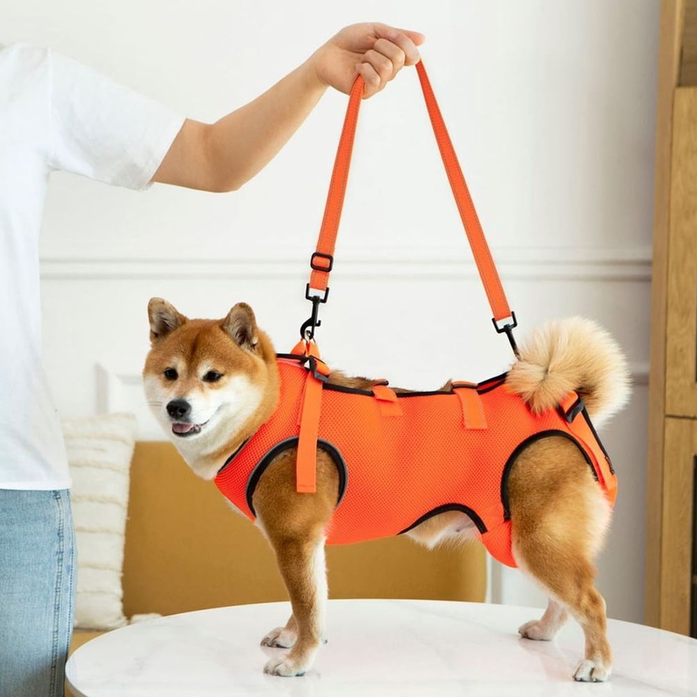 Breathable Pet Support Harness Lift Slings For Senior Dog Mobility Support Slings for Dog Surgical Joint Leg Recovery