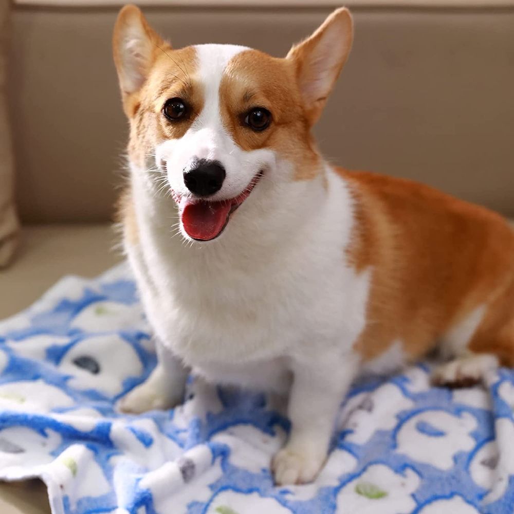3 Pack Blankets Super Soft Cute Dog Fleece Blanket Flannel Throw for Dog Puppy Cat Beige/Brown/Pink Small