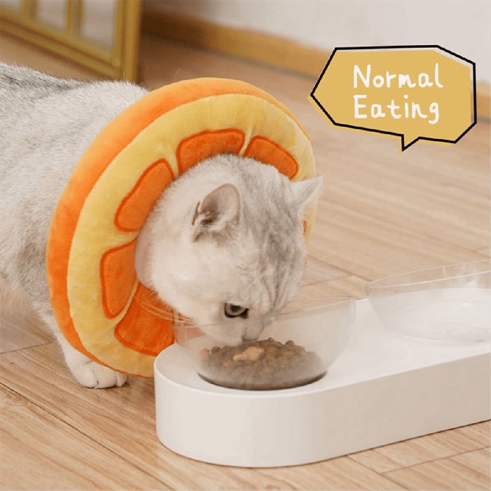 Additional product view: Orange Adjustable Soft Cat Recovery Cone Collar
