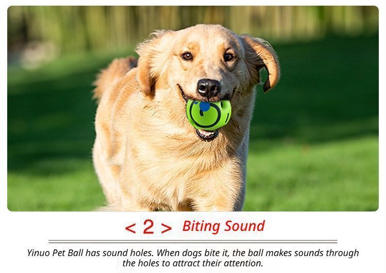 14cm Dog Squeaky Ball OPP Bag