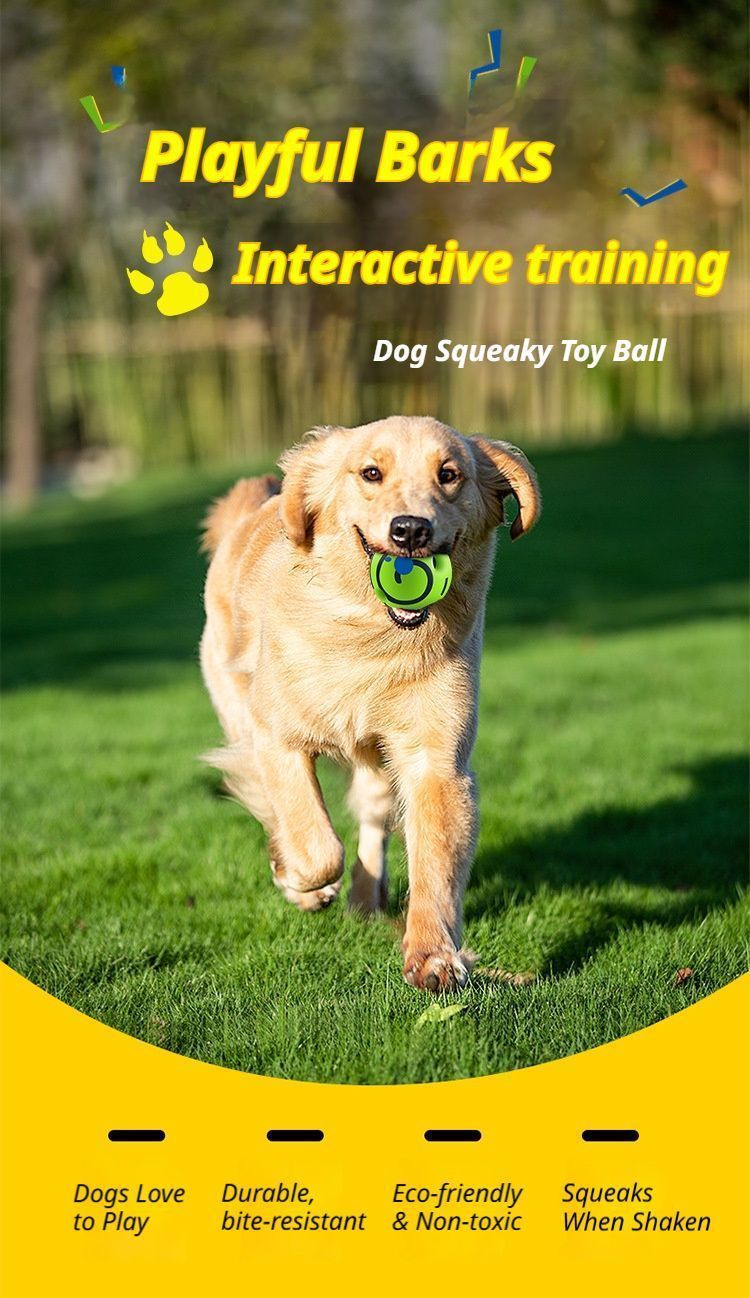 10cm Dog Squeaky Ball Color Box