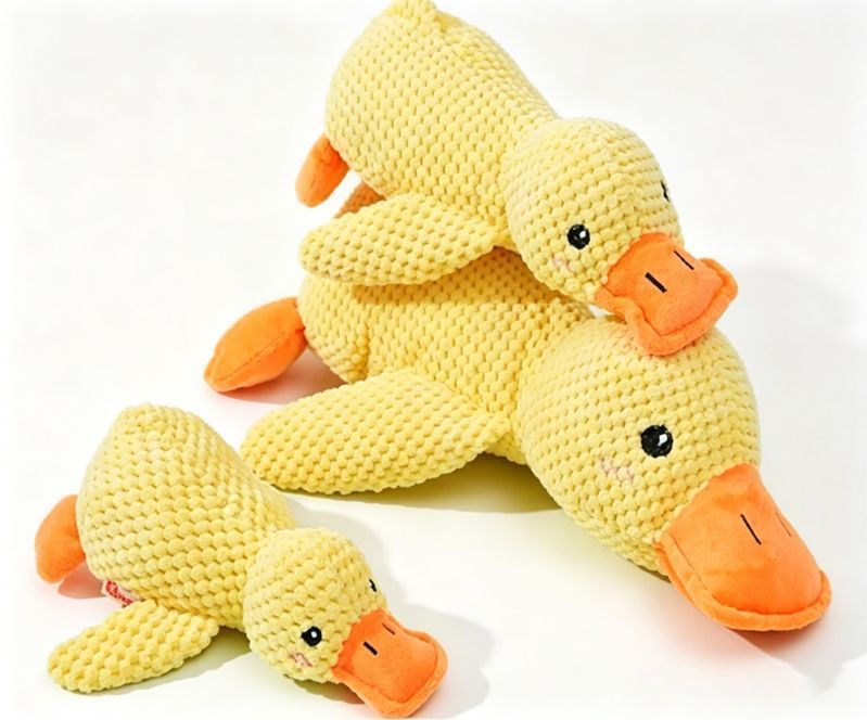 2-Pack Squeaky Plush Toys 01