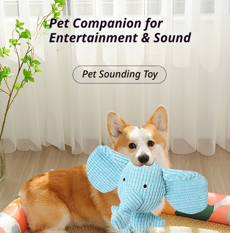 2-Pack Squeaky Plush Toys 01