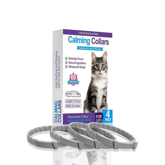 4-Pack Gray Cat Essential Oil Scented Collars, 38 cm shown in the product image