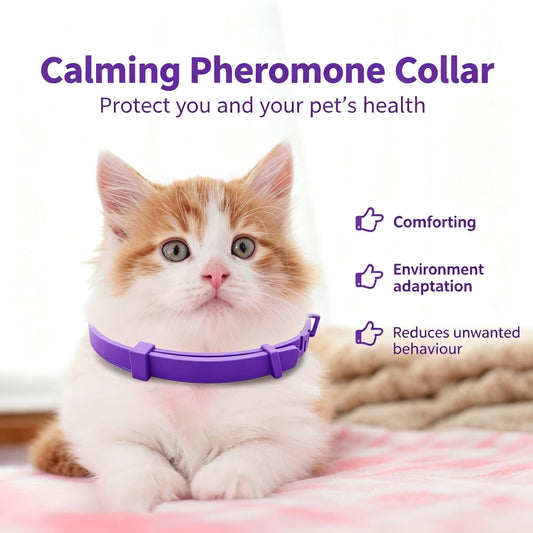 Additional product view: 4-Pack Purple Cat Essential Oil Scented Collars, 38 cm