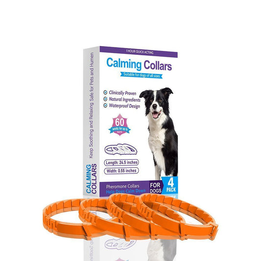 4-Pack Orange Dog Essential Oil Scented Collars, 62 cm shown in the product image