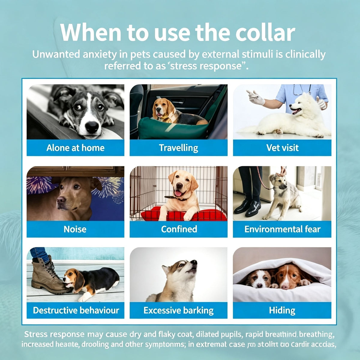 Additional product view: 4-Pack Black Cat Essential Oil Scented Collars, 38 cm
