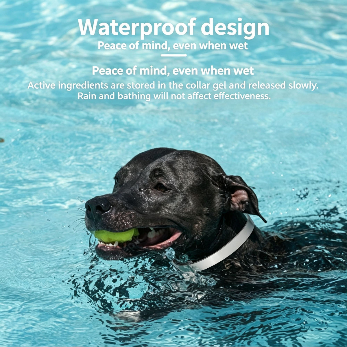 Additional product view: 4-Pack Black Cat Essential Oil Scented Collars, 38 cm
