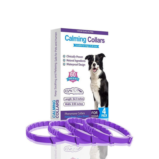 4-Pack Purple Dog Essential Oil Scented Collars, 62 cm shown in the product image