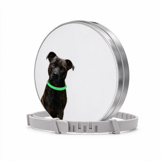 Product image: Glow in the Dark Dog Collar 62cm 8 Months Flea & Tick Repellent Luminous Tin Halloween Night Walk