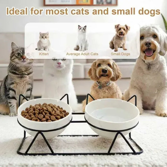 15 Degree Raised Ceramic Cat Bowl Set