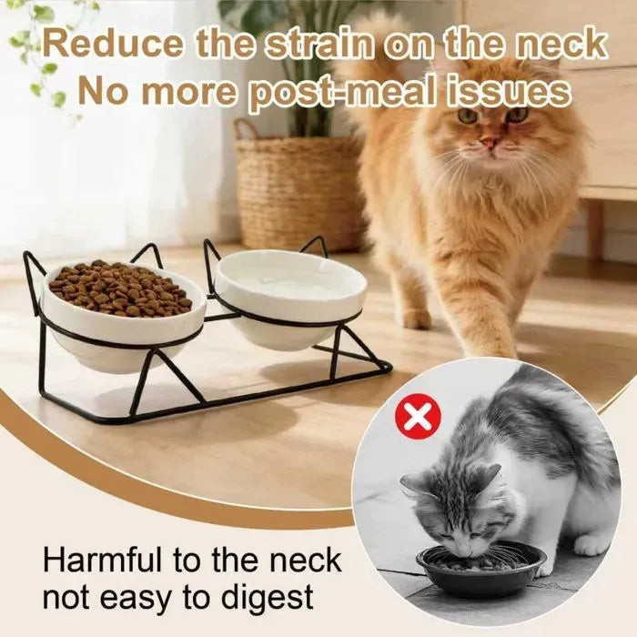 15 Degree Raised Ceramic Cat Bowl Set