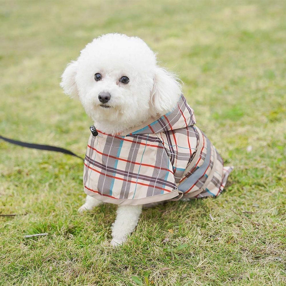 Adjustable Dog Raincoat for Small and Medium Dogs