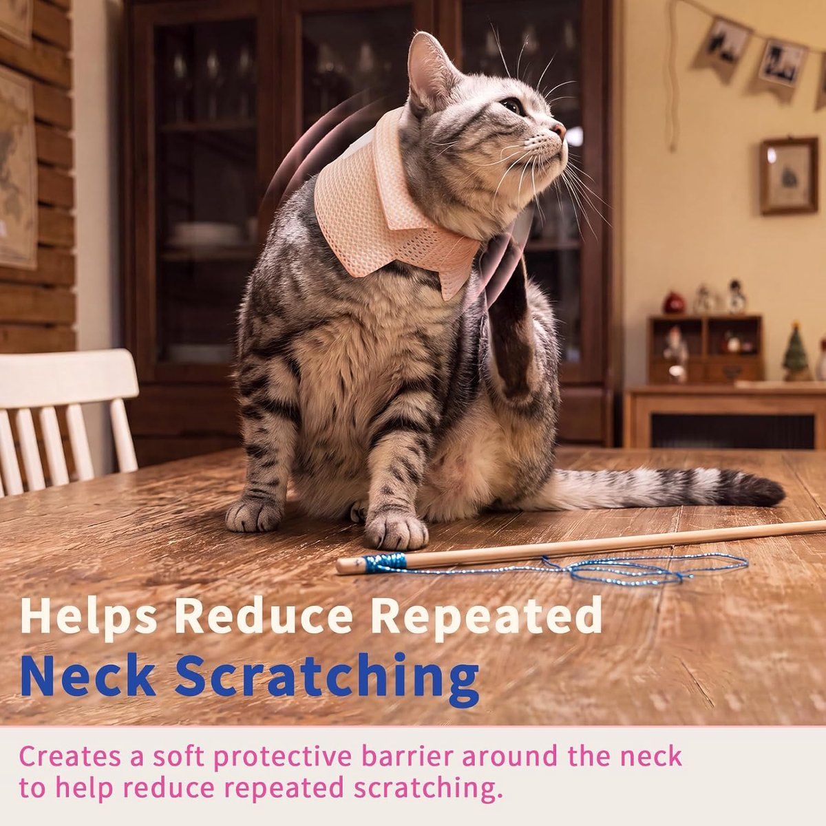Additional product view: 2-Pack Blue Cat Recovery Neck Collars, S 20–28 cm