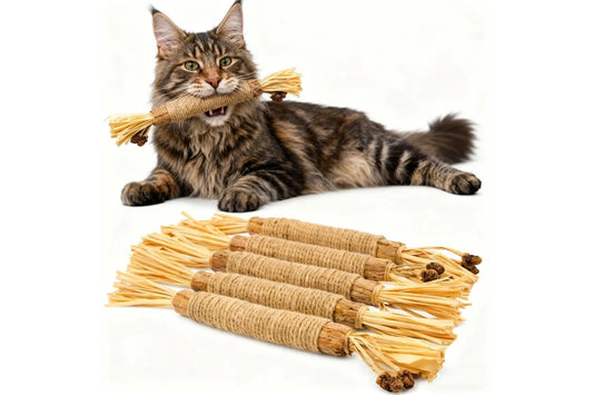 Product image: 5 Pack Natural Silvervine Sticks Cat Dental Chew Toy Teeth Cleaning Kitten Bite