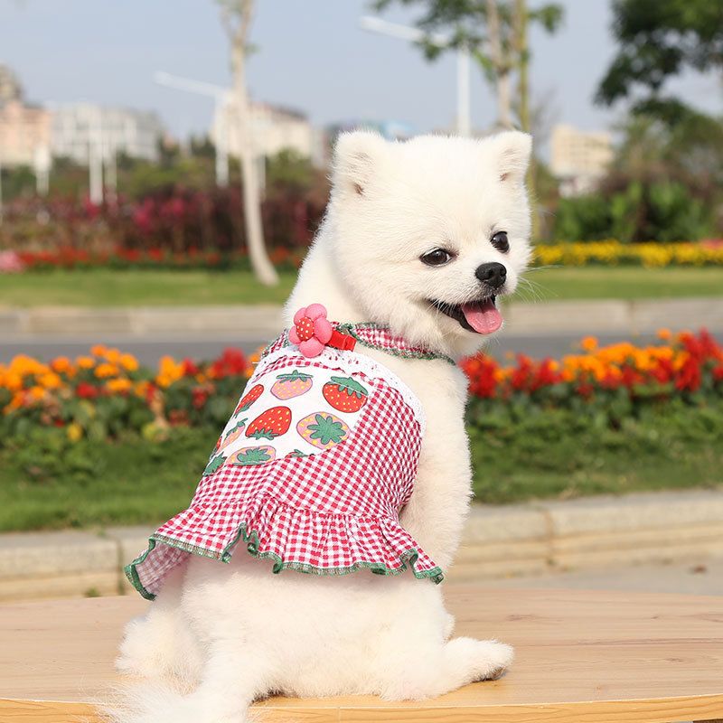Pet Dress Polyester Princess Style Slip Skirt Small Red Strawberry M bust 40 back length 30cm