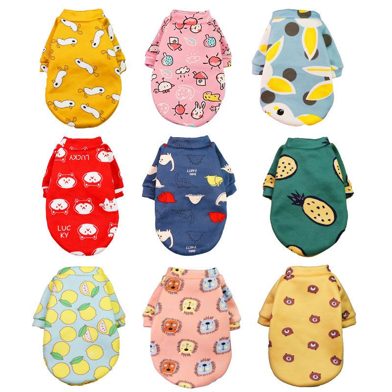 Shine Pet Sweatshirt Cartoon Print Two Leg 227 two-legged composite velvet blue bottom scarf bear L bust 45 back length 35cm)