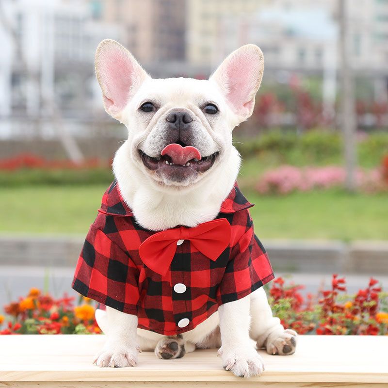 Shine Dog Plaid Shirt Polyester Two-legged Clothes Red and Black Plaid Bow-tie Shirt 3XL bust 68 back length 42cm