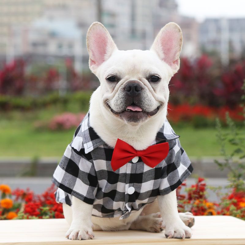 Shine Dog Plaid Shirt Polyester Two-legged Clothes Blue and Black Plaid Bow-tie Shirt M bust 40 back length 30cm