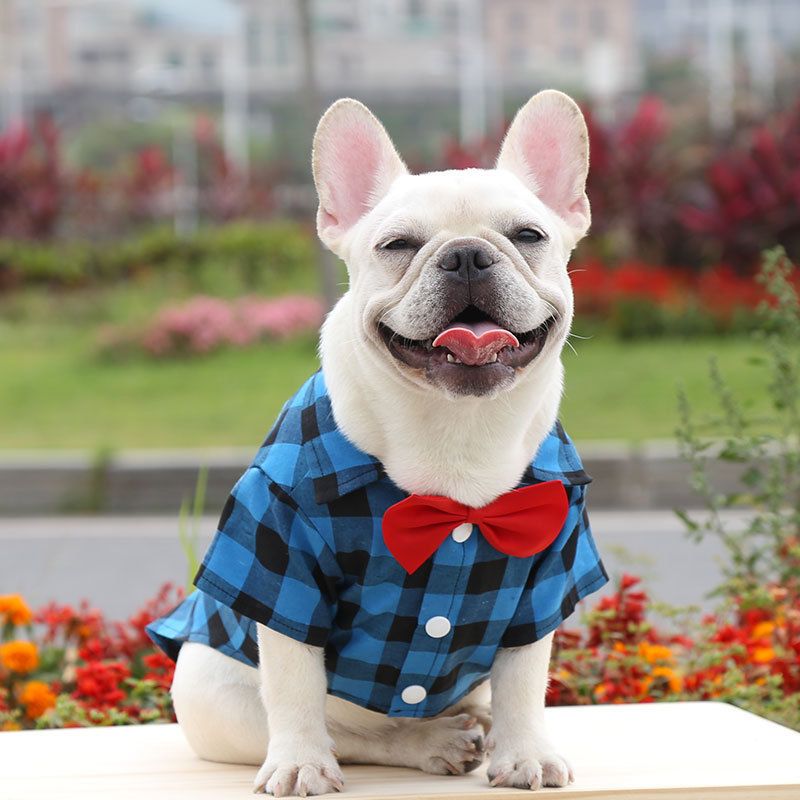 Shine Dog Plaid Shirt Polyester Two-legged Clothes Blue and Black Plaid Bow-tie Shirt XL bust 50 long 40cm