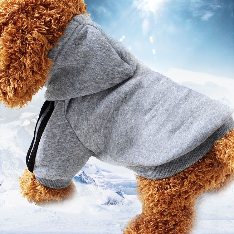 Shine Pet Sweatshirt Cotton Casual Style two legs adog gray XS (bust 27CM recommended weight 0.50 kg-1.00 kg