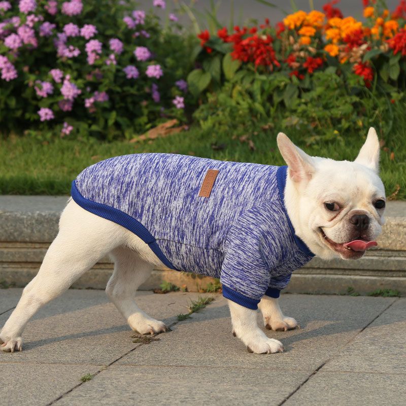 Pet Sweatshirt for Dogs and Cats by shine New size classic sweater gray S (chest circumference 35 back length 25cm)