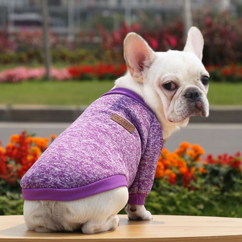 Pet Sweatshirt for Dogs and Cats by shine New Size Classic Sweat Purple S (chest circumference 35 back length 25cm)