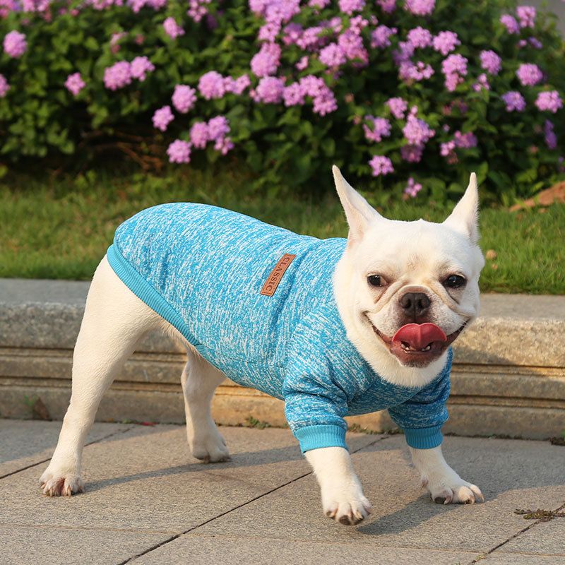 Pet Sweatshirt for Dogs and Cats by shine New Size Classic Sweat Purple S (chest circumference 35 back length 25cm)