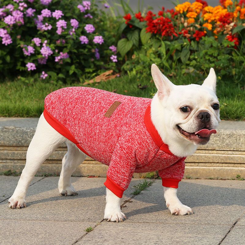 Pet Sweatshirt for Dogs and Cats by shine New Size Classic Sweat Pink L (bust 45 back length 35cm)
