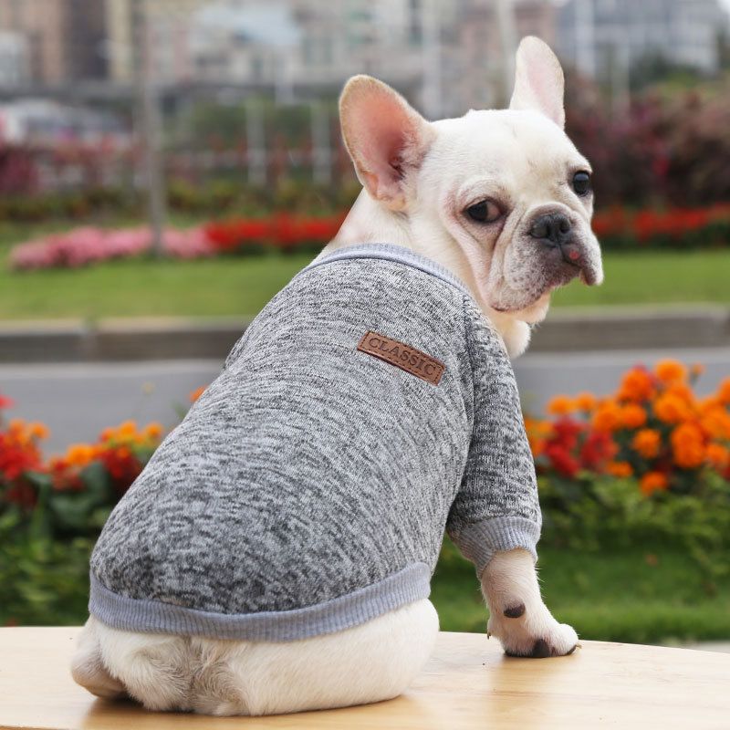 Pet Sweatshirt for Dogs and Cats by shine New size classic sweater gray L (bust 45 back length 35cm)