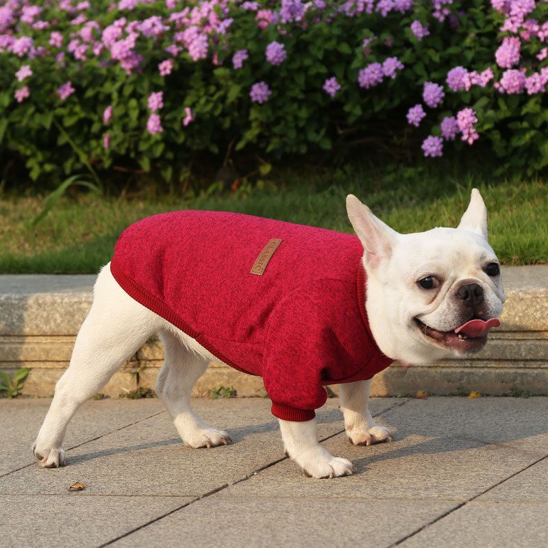 Pet Sweatshirt for Dogs and Cats by shine New Size Classic Sweat Burgundy XL (chest circumference 50 back length 40cm)
