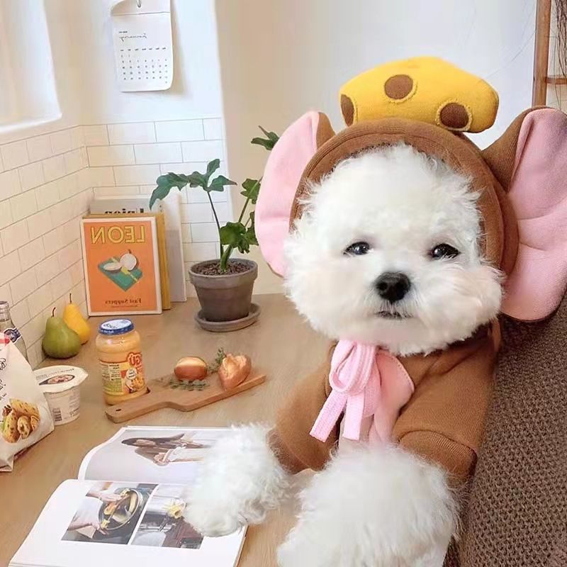 Shine Pet Hoodie Dog Cat Fruit Design Drawstring Brown Mouse Cheese M (bust 44CM about 3.00 kg-4.50 kg pets)