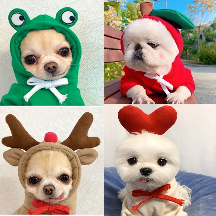Shine Pet Hoodie Dog Cat Fruit Design Hooded two-legged sweater with white background and red Love M (bust 44CM about 3.00 kg-4.50 kg pets)
