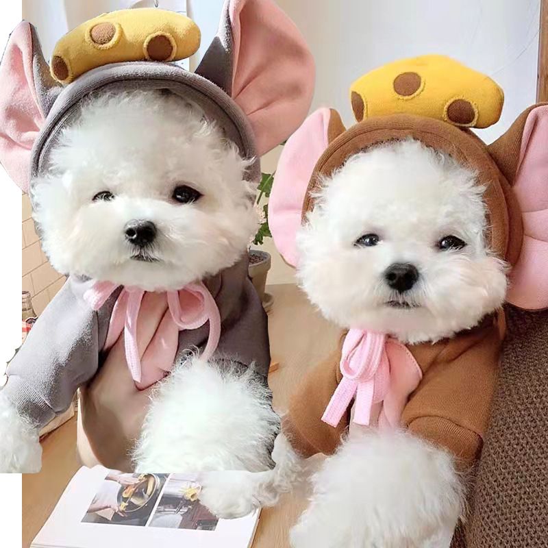 Shine Pet Hoodie Dog Cat Fruit Design Hooded two-legged sweater with white background and red Love M (bust 44CM about 3.00 kg-4.50 kg pets)